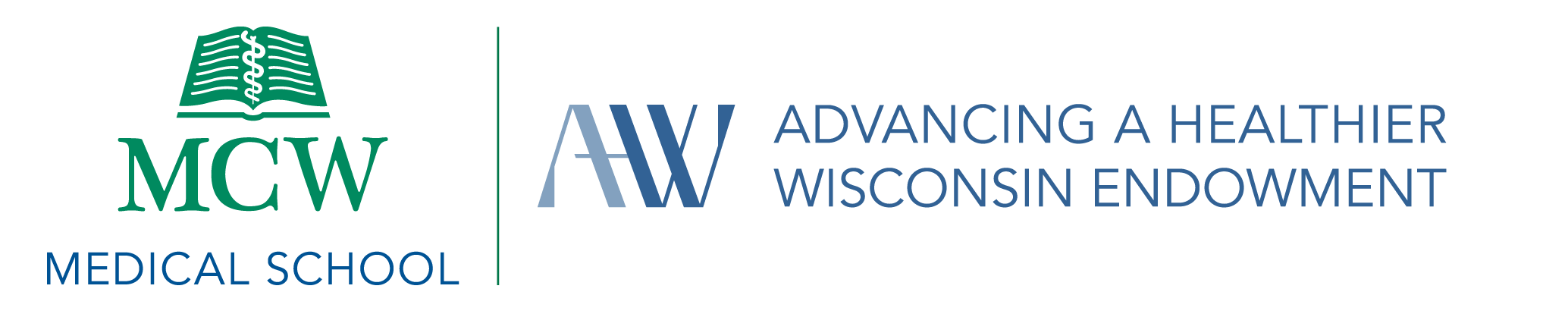 Advancing a Healthier Wisconsin